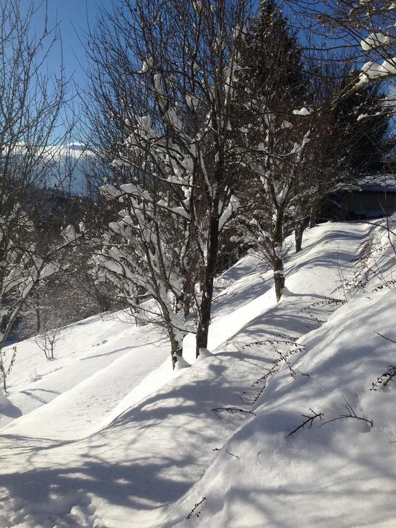 Mégevette Chalet Eterlou מראה חיצוני תמונה